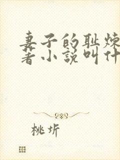 妻子的耻炼狱原著小说叫什么