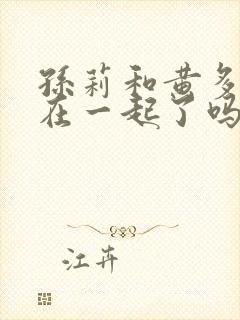 孙莉和黄多最后在一起了吗