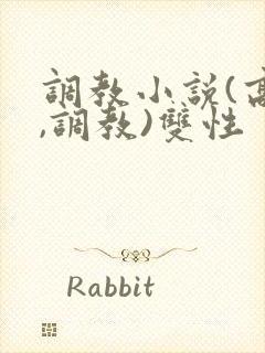 调教小说(高h,调教)双性