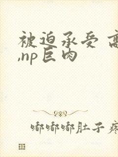 被迫承受 高h,np巨肉