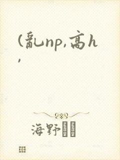 (乱np,高h,