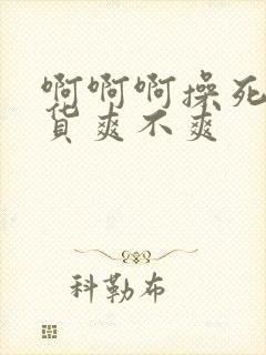 啊啊啊操死了骚货爽不爽