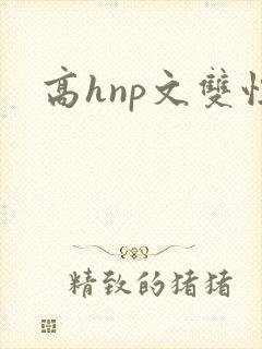 高hnp文双性