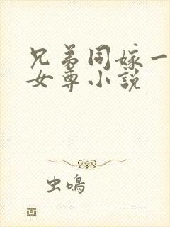 兄弟同嫁一妻的女尊小说