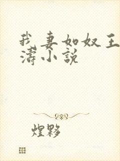 我妻如奴王琳陈涛小说