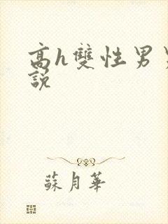 高h双性男男小说