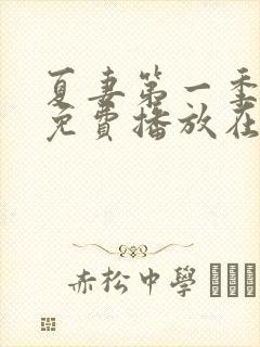 夏妻第一季全集免费播放在线观看中