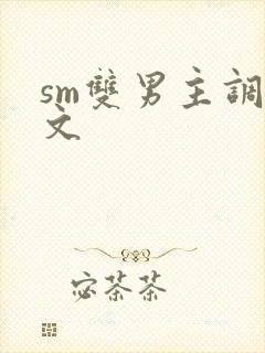 sm双男主调教文