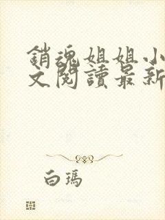 销魂姐姐小说全文阅读最新章节列表