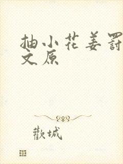 抽小花姜罚训诫文原封面