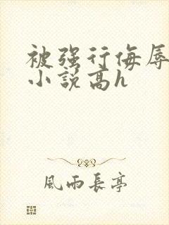 被强行侮辱糟蹋小说高h封面