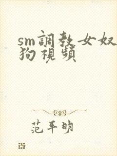 sm调教女奴母狗视频