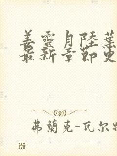 姜灵月陆叶小说最新章节更新列表