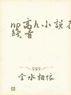 np高h小说在线看