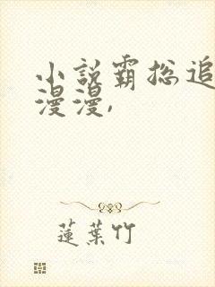 小说霸总追妻路漫漫,