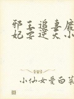 邪王追妻废材狂妃要逆天小说