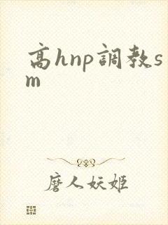 高hnp调教sm