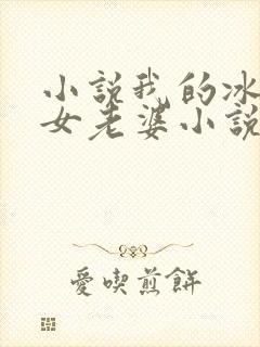 小说我的冰山美女老婆小说