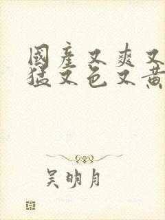 国产又爽又粗又猛又色又黄视频高清