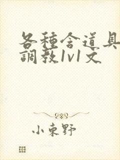 各种含道具高h调教1v1文