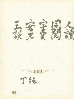 王安宇同人文小说免费阅读