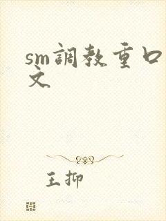 sm调教重口h文