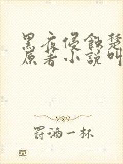 黑夜侵蚀楚辰安原著小说叫什么