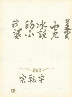 我的冰山美女老婆小说免费阅读