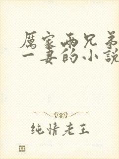 厉家两兄弟共娶一妻的小说封面