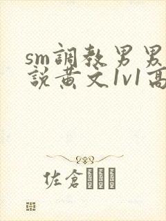 sm调教男男小说黄文1v1高h强制