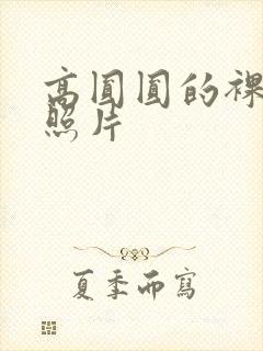 高圆圆的裸奶头照片