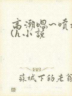 高潮嗯~喷水了(h小说封面