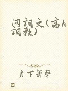 网调文(高h,调教)