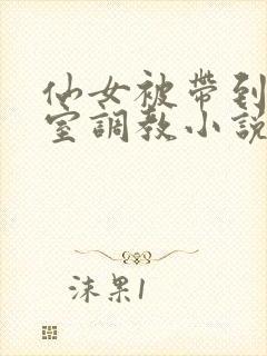 仙女被带到乳刑室调教小说