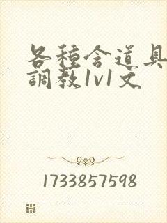 各种含道具高h调教1v1文