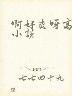 啊好爽呀高潮了小说封面