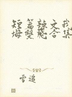 短篇辣文我和岳坶双飞合集