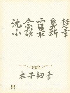 沈念霍枭楚莹莹小说最新章节更新免费阅读