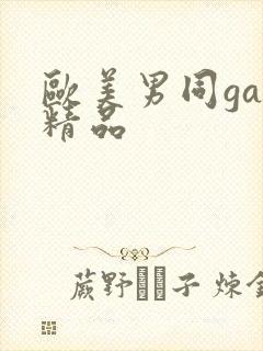 欧美男同gay精品