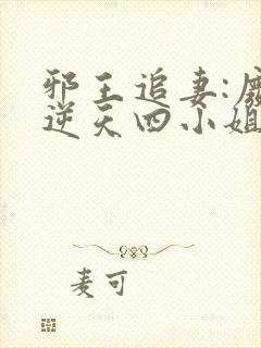 邪王追妻:废材逆天四小姐