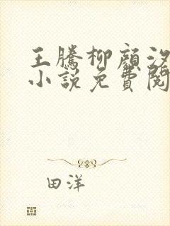 王腾柳颜汐穿越小说免费阅读