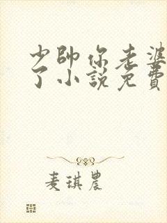 少帅你老婆又跑了小说免费完整版