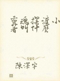 灵魂摆渡小说原著叫什么