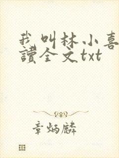 我叫林小喜全阅读全文txt