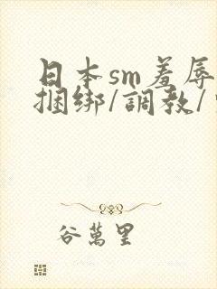 日本sm羞辱/捆绑/调教/束缚电影