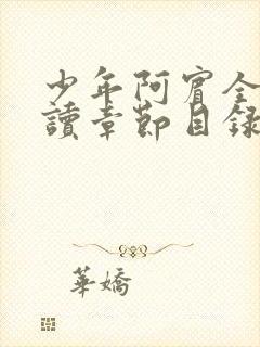 少年阿宾全文阅读章节目录封面