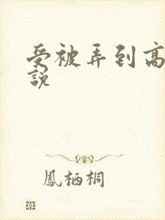 受被弄到高潮小说封面