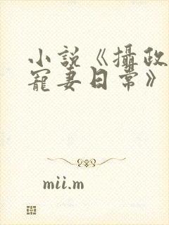 小说《摄政王的宠妻日常》封面