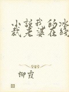 小说我的冰山总裁老婆在线阅读封面