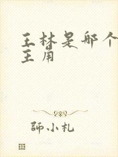 王林是哪个小说主角